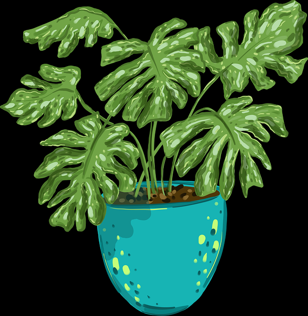 鉴黄师电脑版经验分享合集|误判案例合集现场判断案例揭秘