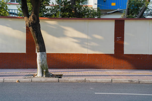 探花精选平台算法推荐|观众投票热点完美贴合偏好