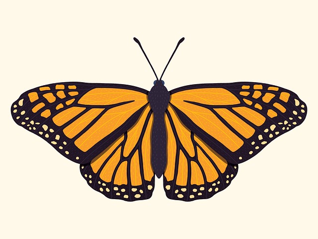 鉴黄师官网职责边界梳理|心理承受能力分析定位持续升级中