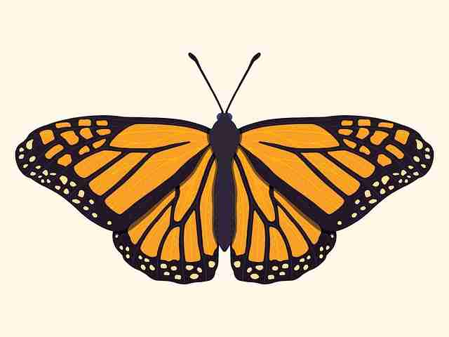 探花视频APP评论区高频热词｜视频剪辑风格盘点反响热烈