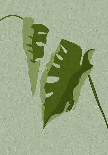 妻社官网视频合集推荐｜心理视角展现击中情绪盲点