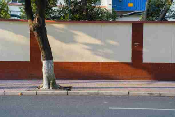 onlyfnas专属订阅功能上线|榜单规则深度拆解聚焦粉丝深运营